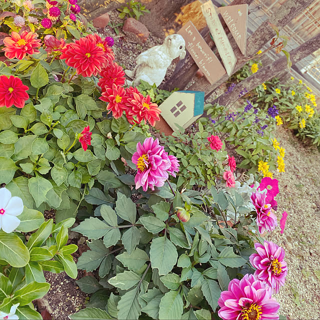 maa...さんの実例写真