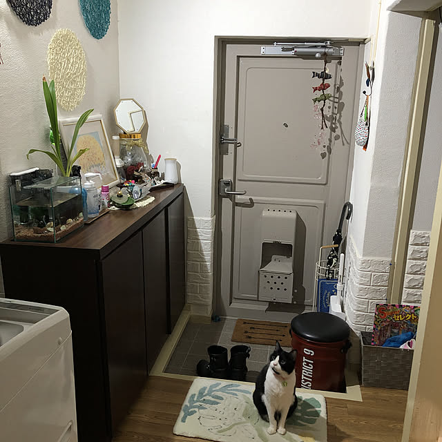mikenekoさんの実例写真