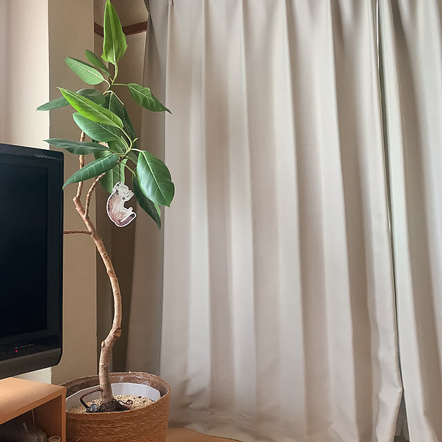 nao.roomさんの部屋