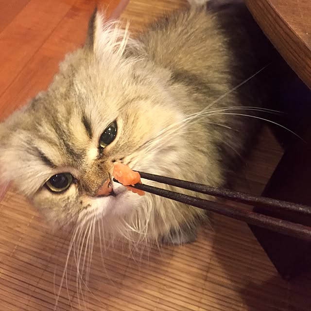 butachanさんの実例写真