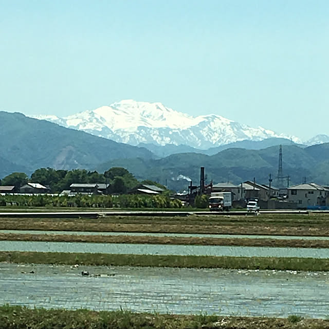 実例写真