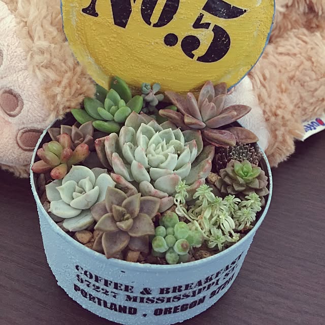 LOVEさんの実例写真