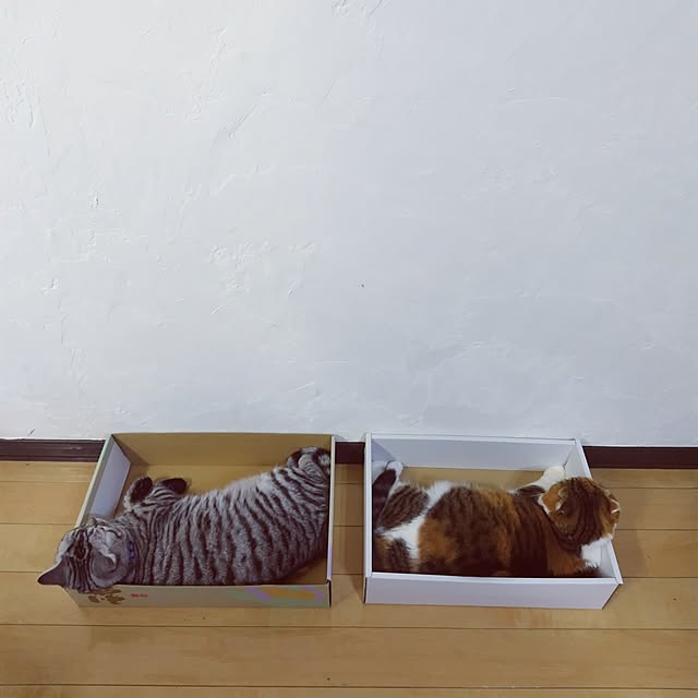 hiro3さんの実例写真