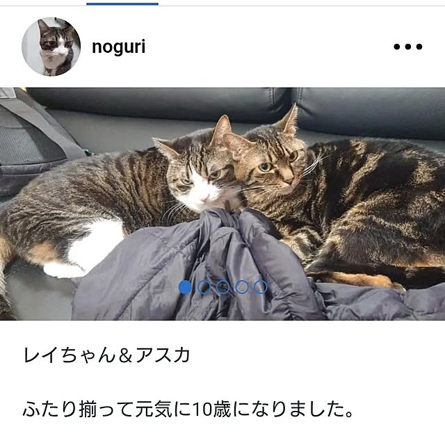 noguriさんの実例写真