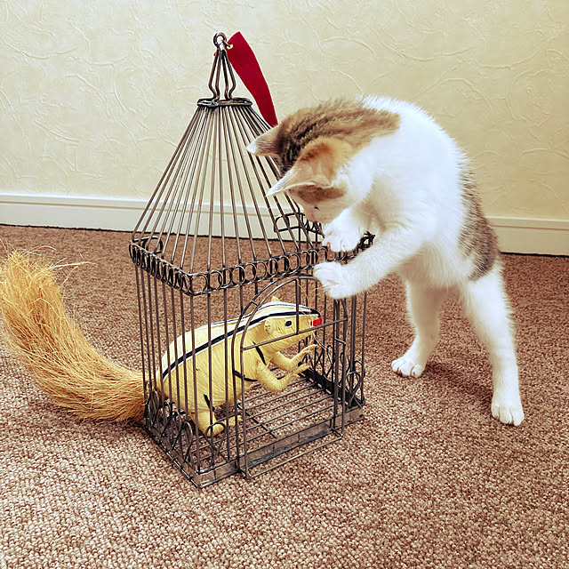 jill_lowさんの実例写真