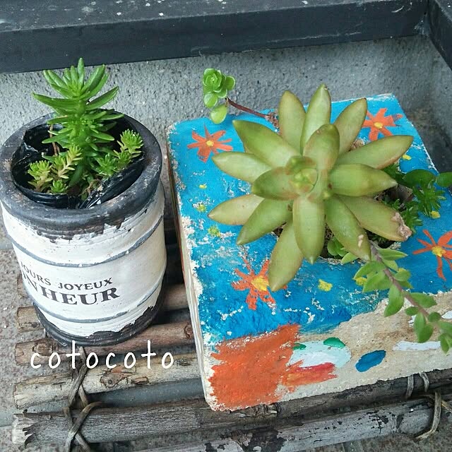 cotocotoさんの実例写真