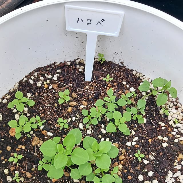 aiさんの部屋