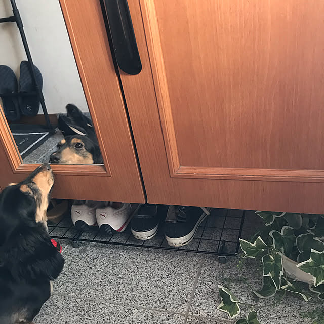Michicoさんの実例写真