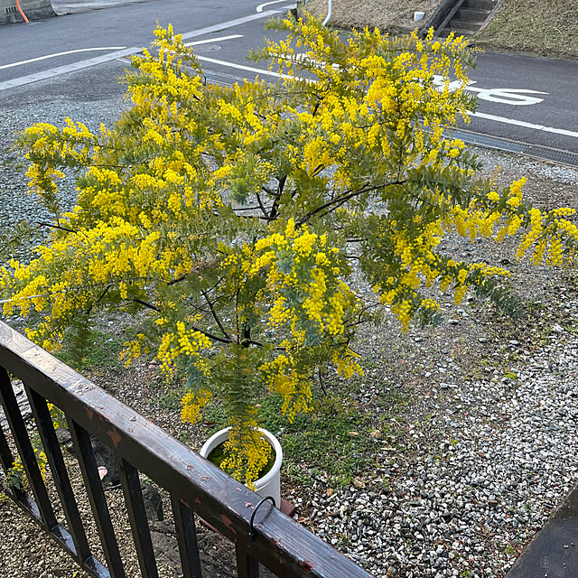 shin0719さんの部屋