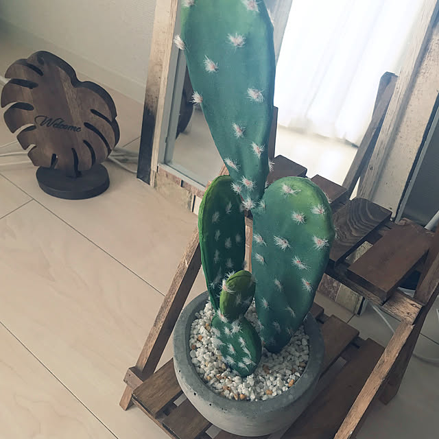 Sachieさんの実例写真