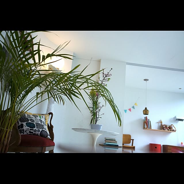 Design papa Ka-tuさんの実例写真