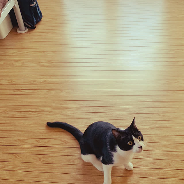 nanohanaさんの部屋