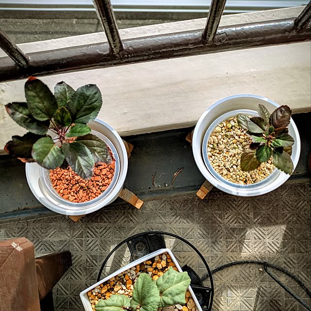 mi-saさんの部屋