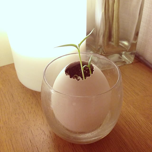 noon88さんの実例写真