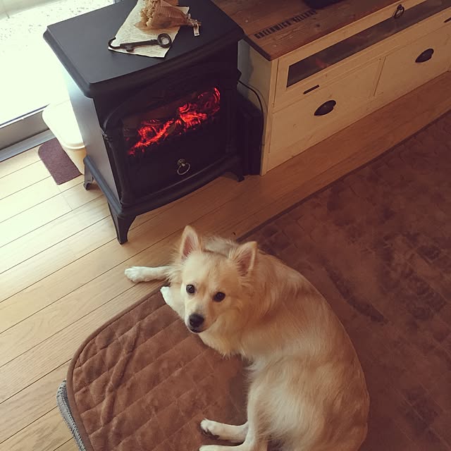 takakoさんの実例写真
