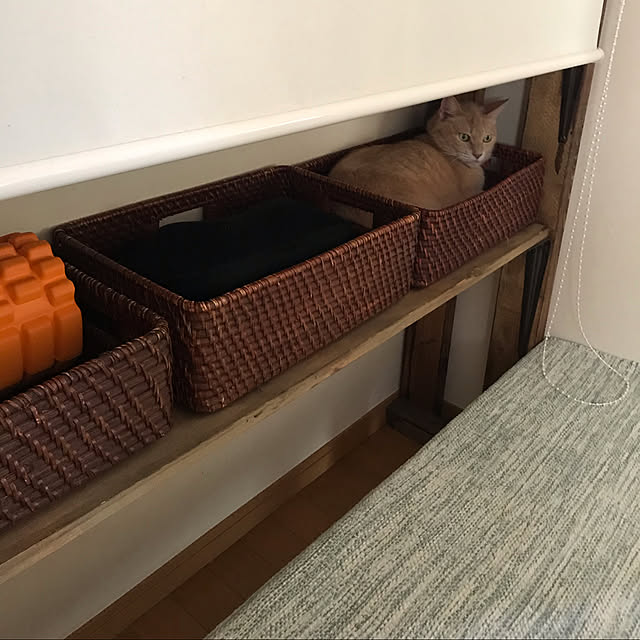 mikan161さんの実例写真