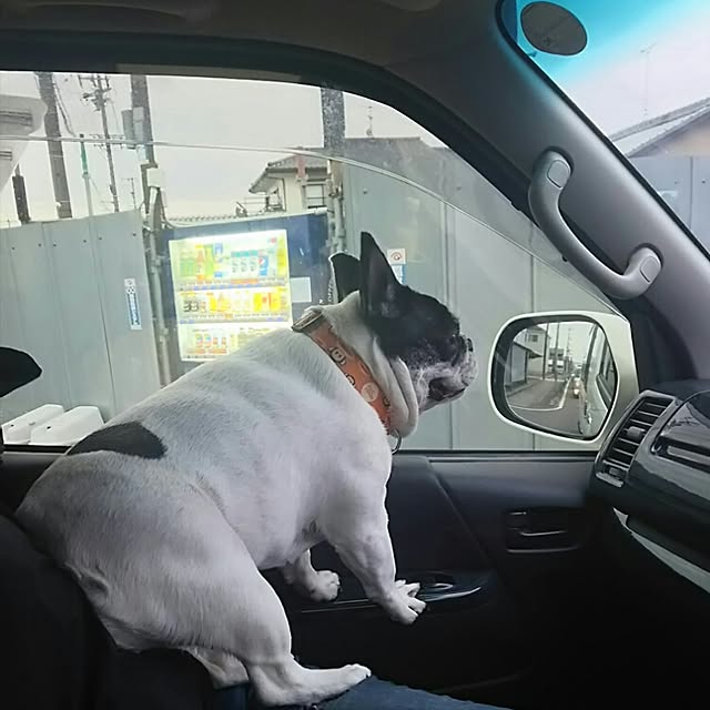 AandPさんの実例写真