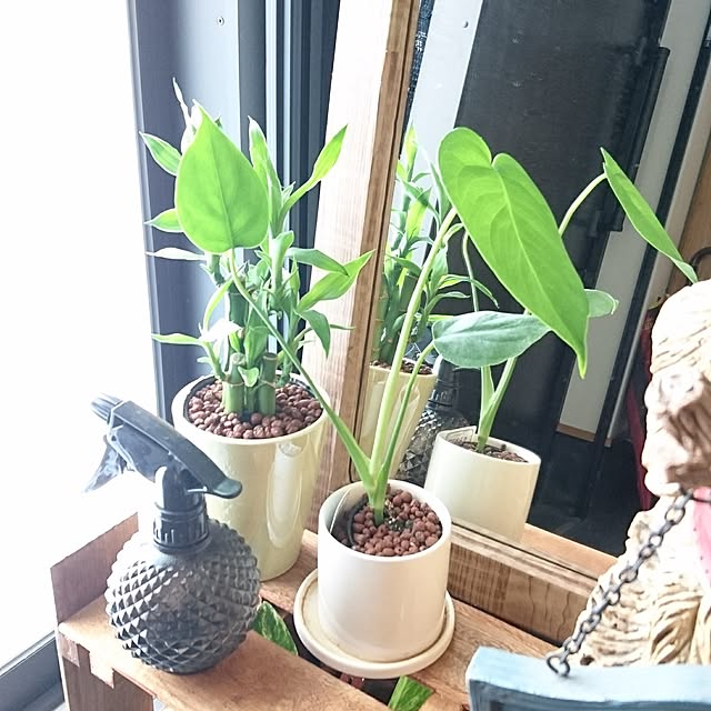 yukoさんの実例写真