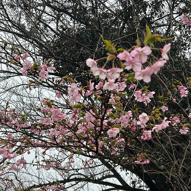 ritsukoさんの部屋