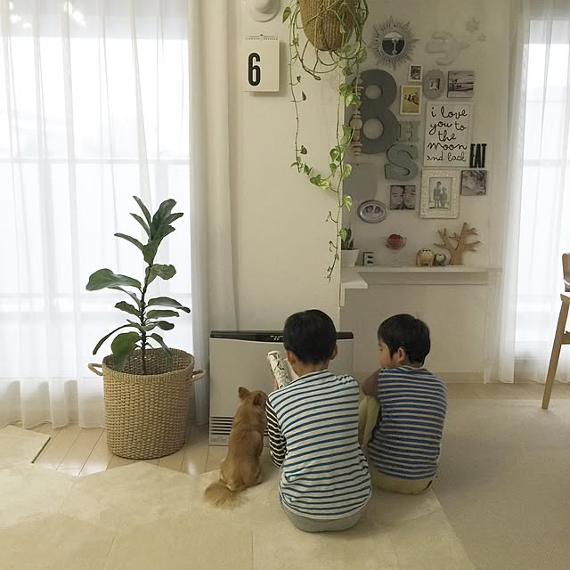 haruhinaさんの実例写真