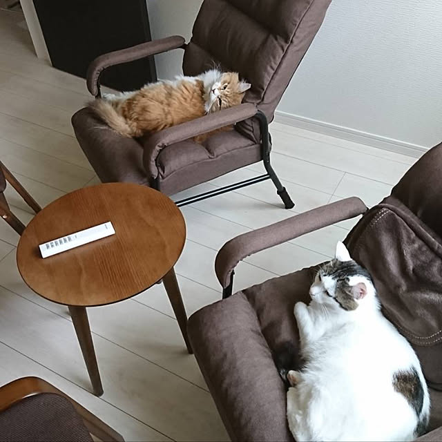 nnkttoさんの実例写真