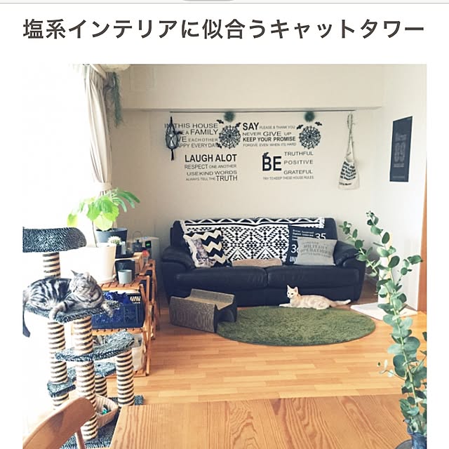 hiyupan88さんの実例写真