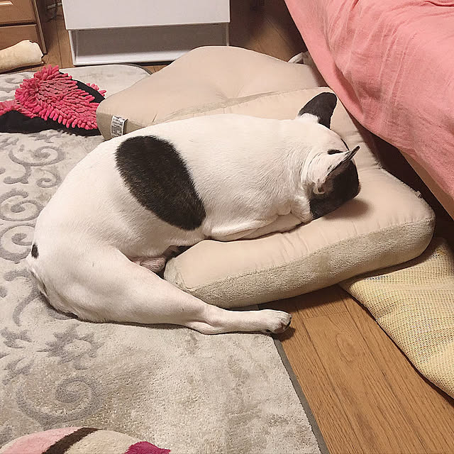 chi_gogaさんの実例写真