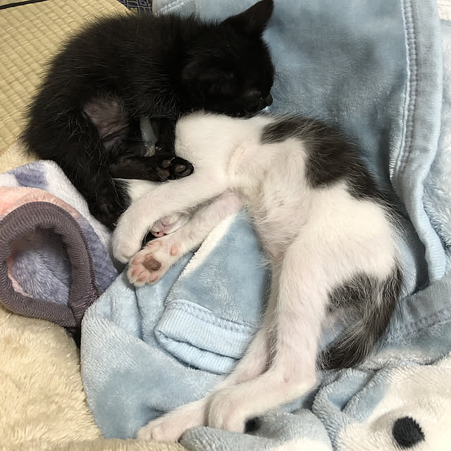 tf8332さんの実例写真