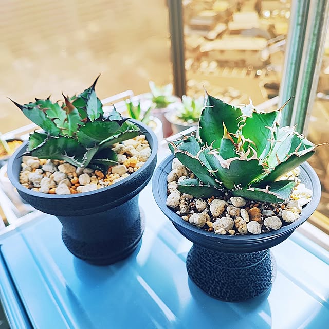 eさんの部屋