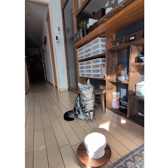 lovepeaceさんの部屋
