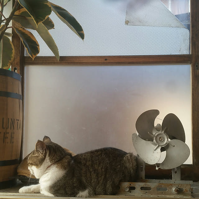 SYOUGUNさんの実例写真