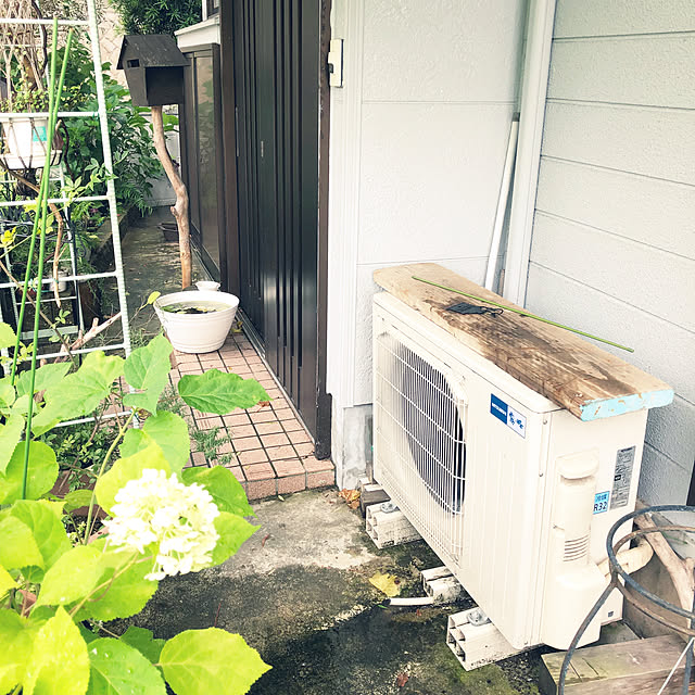 Yukiさんの実例写真