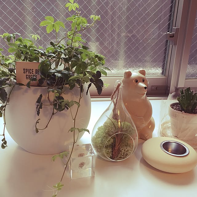 maki751130さんの実例写真