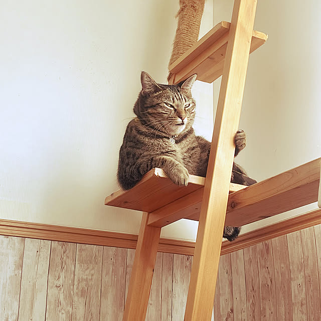 Mさんの実例写真