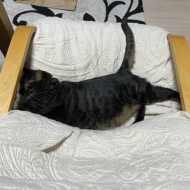 momocchiさんの実例写真