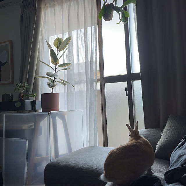 apoohさんの実例写真