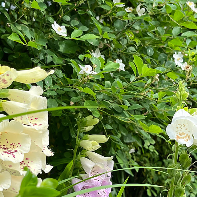 cotaさんの部屋