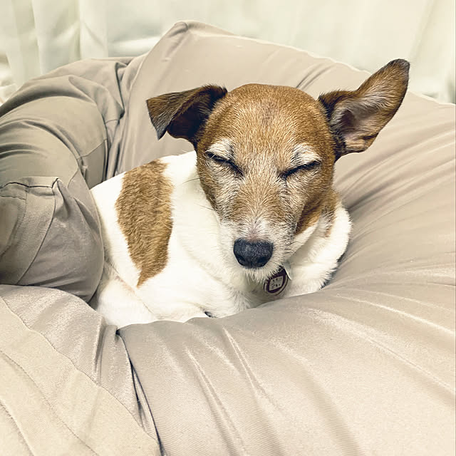 yukiringoさんの実例写真
