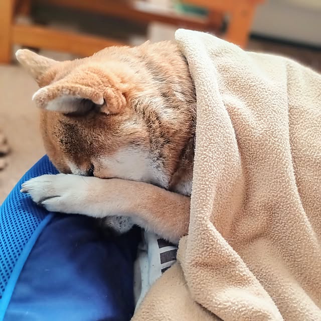 nanaさんの部屋