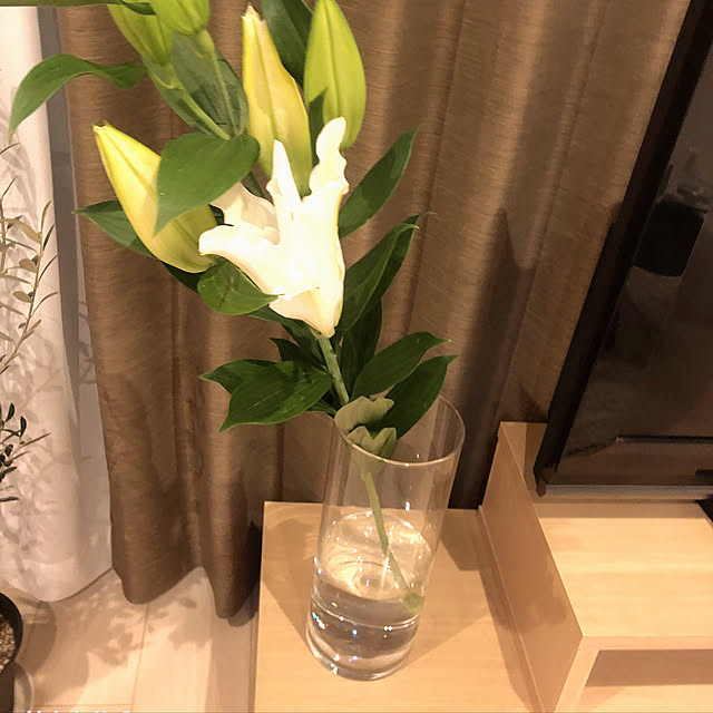 Manamiさんの実例写真