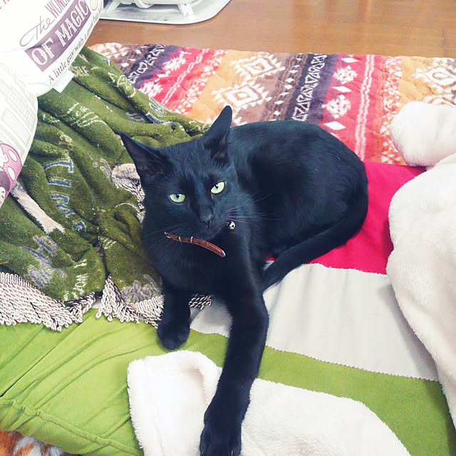 chako.さんの実例写真