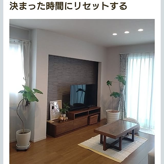 tan5さんの実例写真