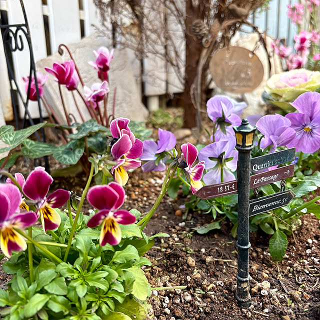 erinanさんの実例写真