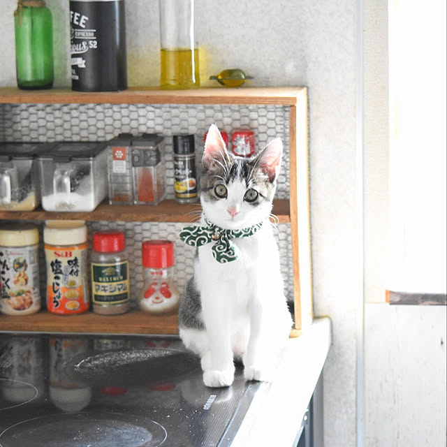 Akiさんの実例写真