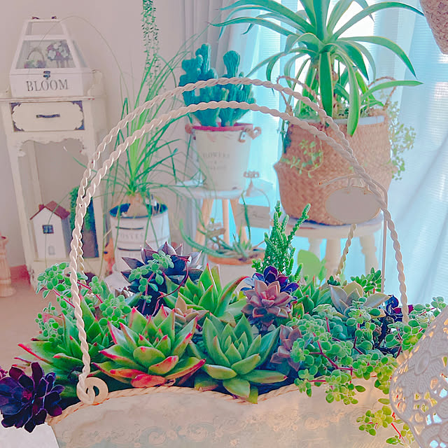 Hanakaさんの実例写真