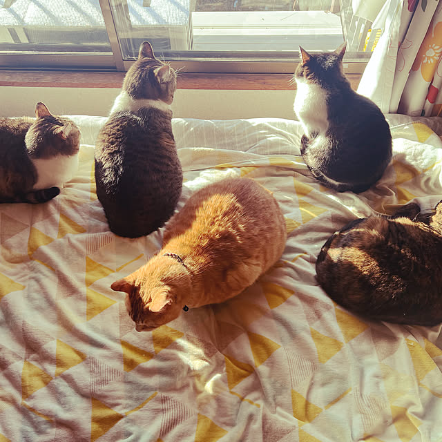 mill_0303さんの実例写真
