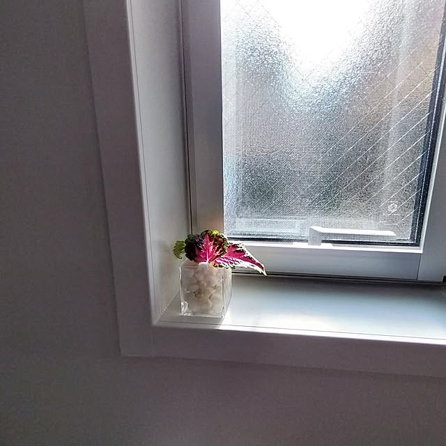 tamaさんの部屋