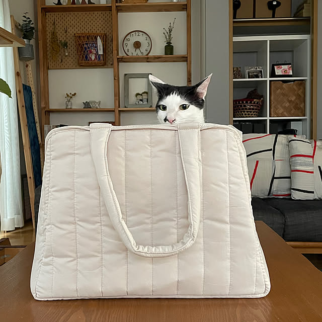 nobikoさんの部屋