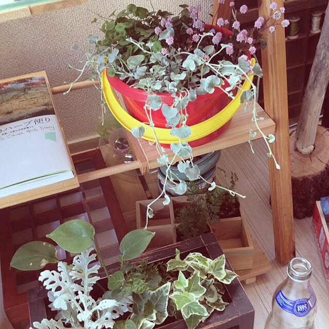 kinoko8oさんの実例写真