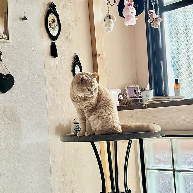 naokoさんの部屋
